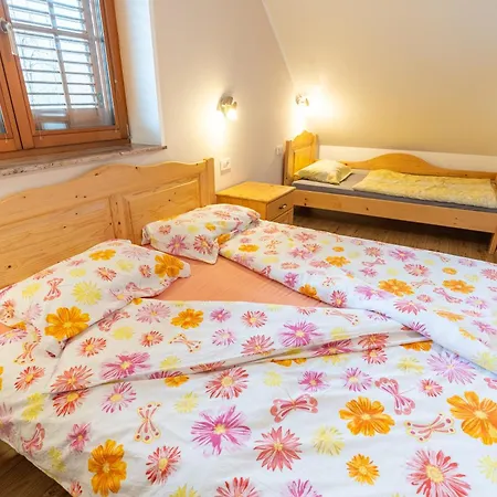 Rooms-apartments Pazlar Lejlighed